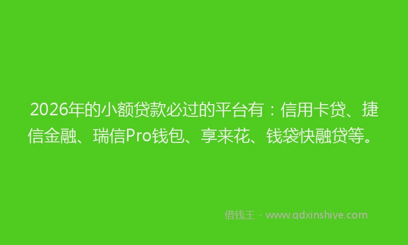 2026年的小额贷款必过的平台有：信用卡贷、捷信金融、瑞信Pro钱包、享来花、钱袋快融贷等。