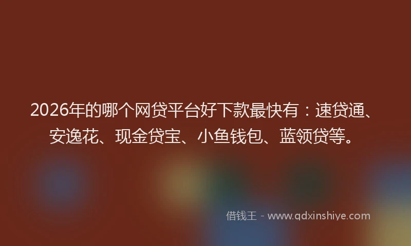 2026年的哪个网贷平台好下款最快有：速贷通、安逸花、现金贷宝、小鱼钱包、蓝领贷等。