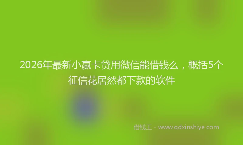 2026年最新小赢卡贷用微信能借钱么，概括5个征信花居然都下款的软件