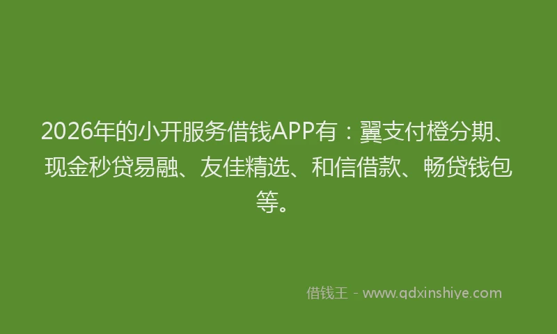 2026年的小开服务借钱APP有：翼支付橙分期、现金秒贷易融、友佳精选、和信借款、畅贷钱包等。