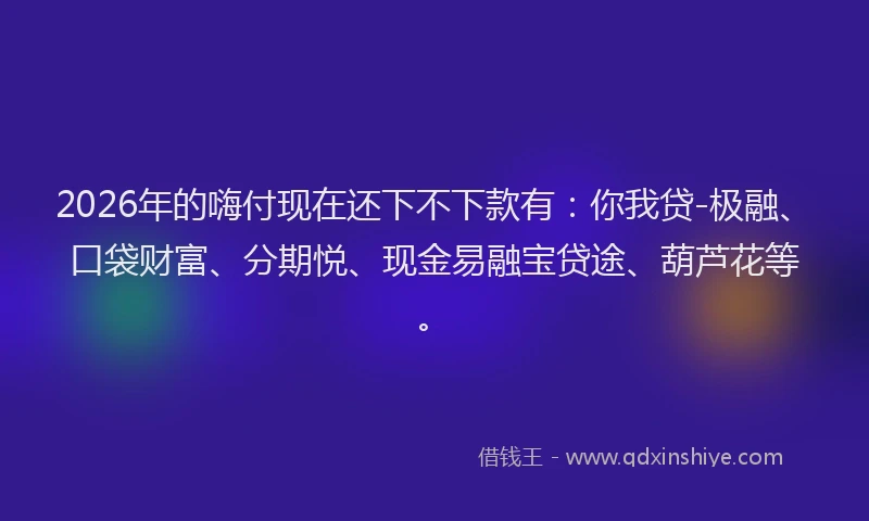 2026年的嗨付现在还下不下款有：你我贷-极融、口袋财富、分期悦、现金易融宝贷途、葫芦花等。