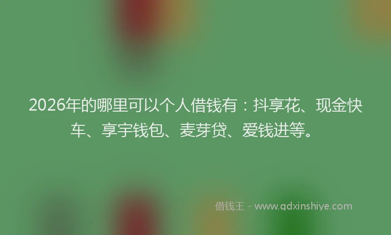2026年的哪里可以个人借钱有：抖享花、现金快车、享宇钱包、麦芽贷、爱钱进等。