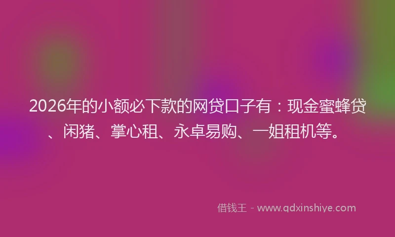 2026年的小额必下款的网贷口子有：现金蜜蜂贷、闲猪、掌心租、永卓易购、一姐租机等。