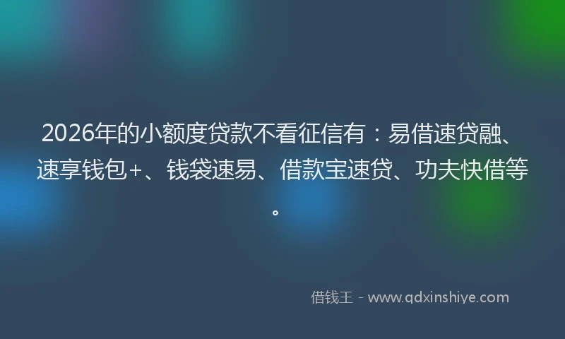 2026年的小额度贷款不看征信有：易借速贷融、速享钱包+、钱袋速易、借款宝速贷、功夫快借等。