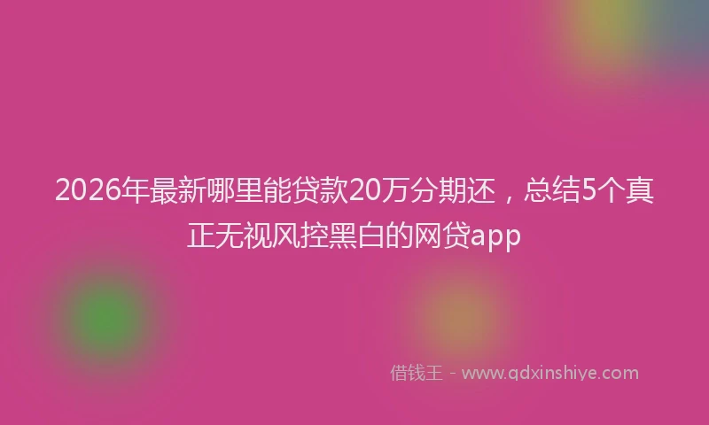 2026年最新哪里能贷款20万分期还,总结5个真正无视风控黑白的网贷app
