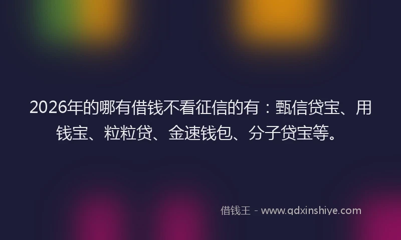 2026年的哪有借钱不看征信的有：甄信贷宝、用钱宝、粒粒贷、金速钱包、分子贷宝等。