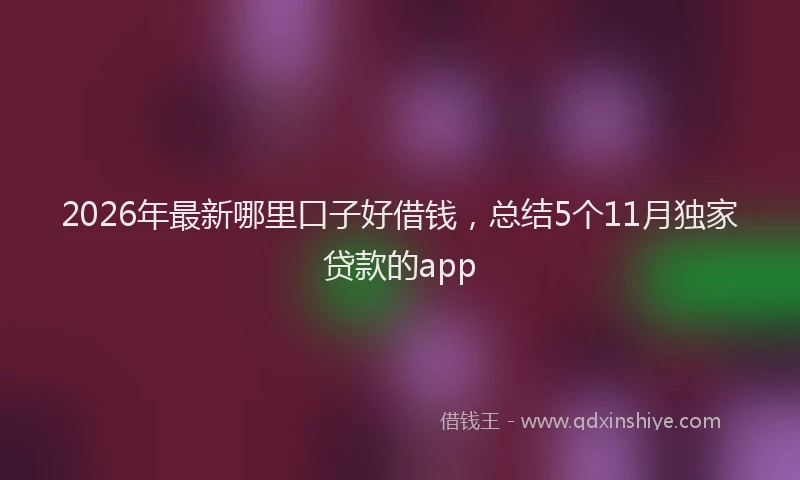 2026年最新哪里口子好借钱,总结5个11月独家贷款的app