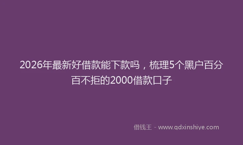 2026年最新好借款能下款吗，梳理5个黑户百分百不拒的2000借款口子