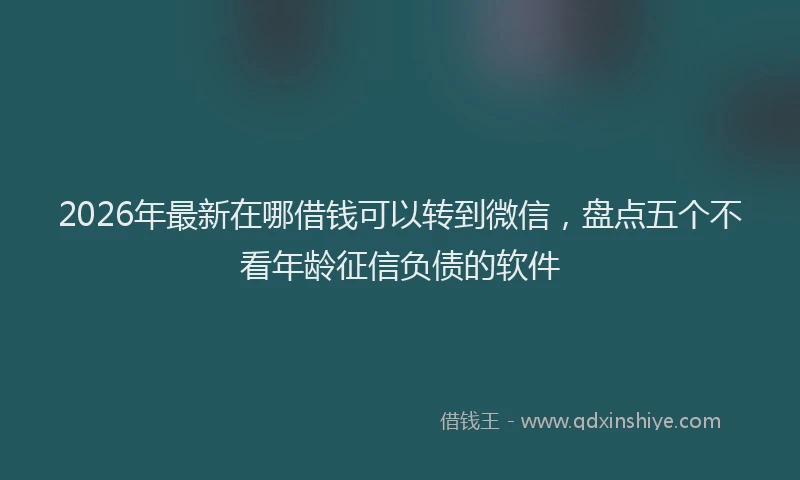 2026年最新在哪借钱可以转到微信，盘点五个不看年龄征信负债的软件