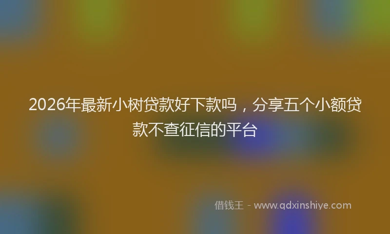 2026年最新小树贷款好下款吗，分享五个小额贷款不查征信的平台