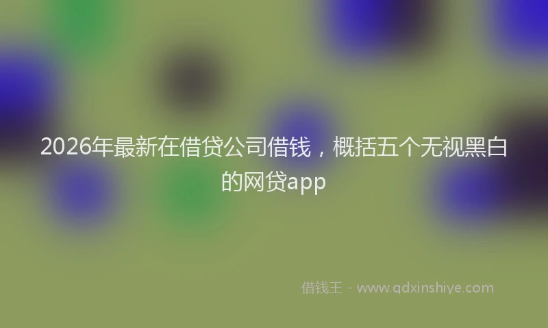 2026年最新在借贷公司借钱，概括五个无视黑白的网贷app