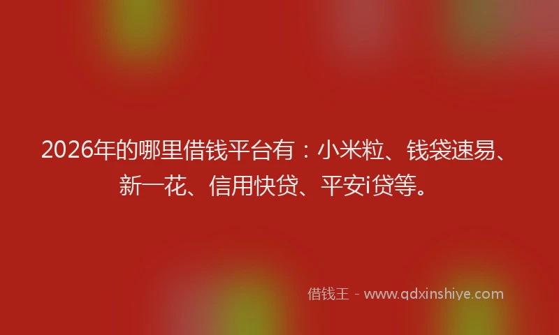 2026年的哪里借钱平台有:小米粒、钱袋速易、新一花、信用快贷、平安i贷等。