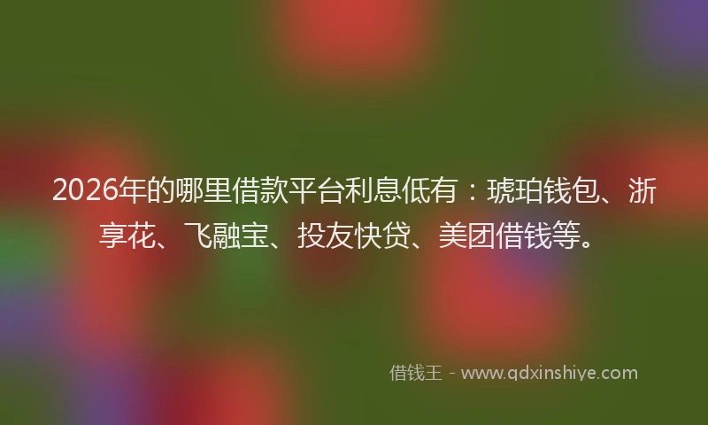 2026年的哪里借款平台利息低有：琥珀钱包、浙享花、飞融宝、投友快贷、美团借钱等。