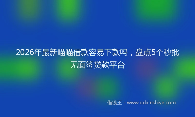 2026年最新喵喵借款容易下款吗，盘点5个秒批无面签贷款平台