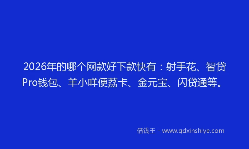 2026年的哪个网款好下款快有：射手花、智贷Pro钱包、羊小咩便荔卡、金元宝、闪贷通等。