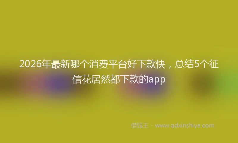 2026年最新哪个消费平台好下款快，总结5个征信花居然都下款的app