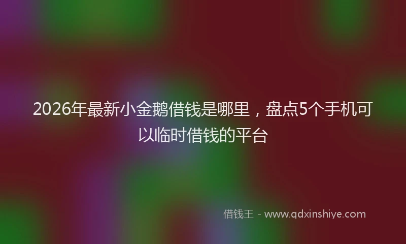 2026年最新小金鹅借钱是哪里，盘点5个手机可以临时借钱的平台