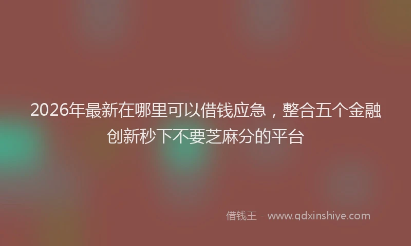 2026年最新在哪里可以借钱应急，整合五个金融创新秒下不要芝麻分的平台