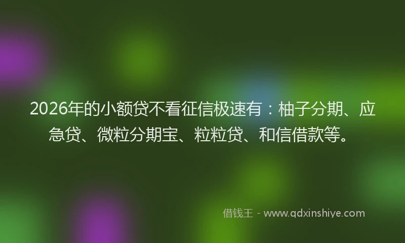 2026年的小额贷不看征信极速有：柚子分期、应急贷、微粒分期宝、粒粒贷、和信借款等。
