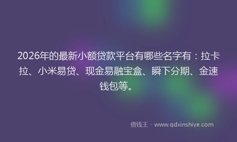 2026年的最新小额贷款平台有哪些名字有：拉卡拉、小米易贷、现金易融宝盒、瞬下分期、金速钱包等。