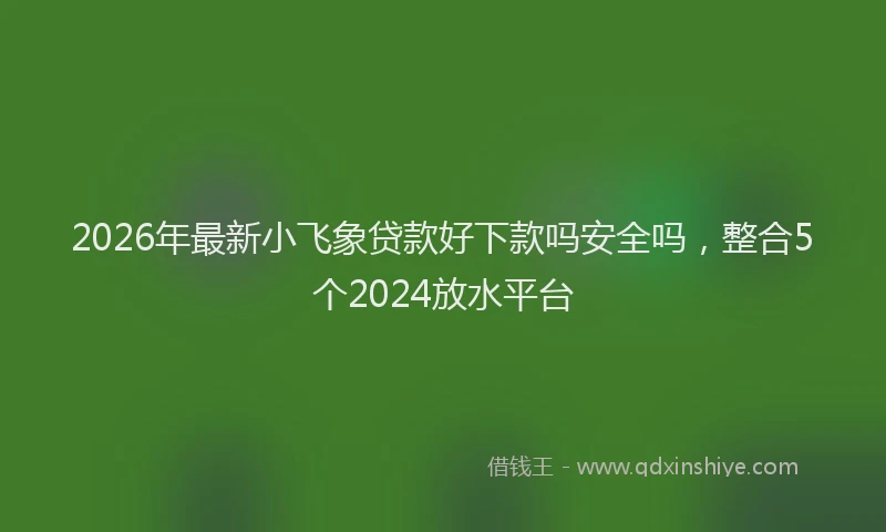 2026年最新小飞象贷款好下款吗安全吗，整合5个2024放水平台