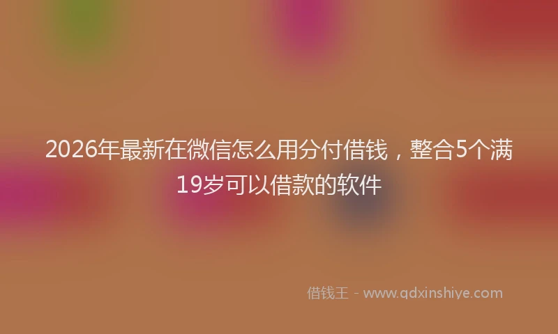 2026年最新在微信怎么用分付借钱,整合5个满19岁可以借款的软件