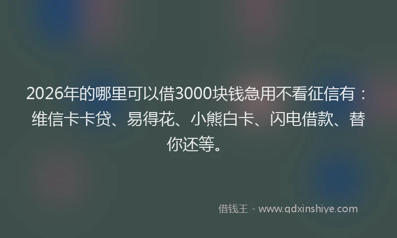 2026年的哪里可以借3000块钱急用不看征信有：维信卡卡贷、易得花、小熊白卡、闪电借款、替你还等。