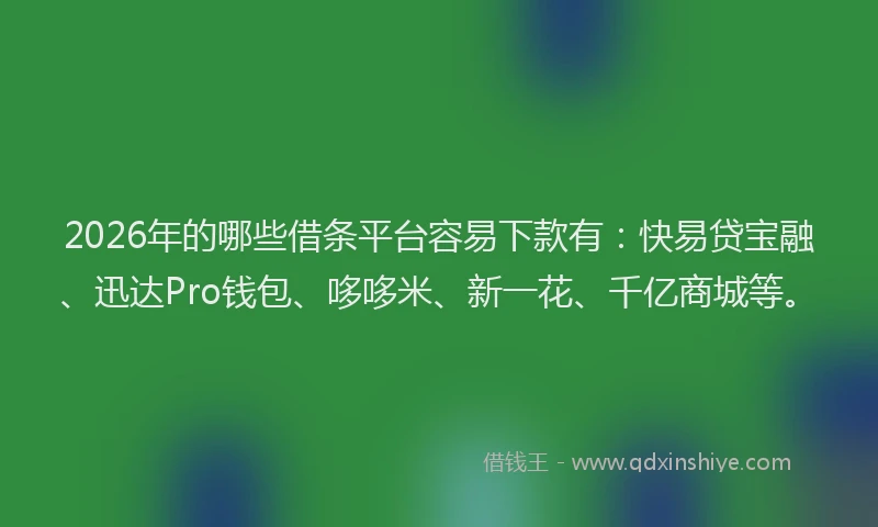 2026年的哪些借条平台容易下款有：快易贷宝融、迅达Pro钱包、哆哆米、新一花、千亿商城等。