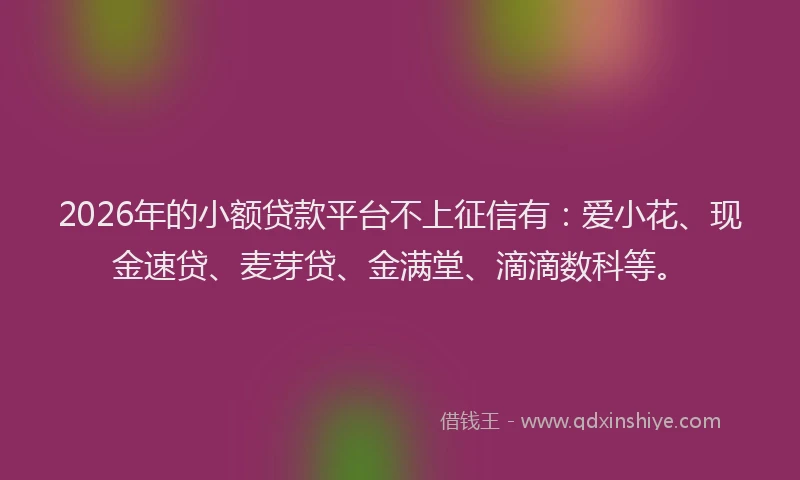 2026年的小额贷款平台不上征信有：爱小花、现金速贷、麦芽贷、金满堂、滴滴数科等。