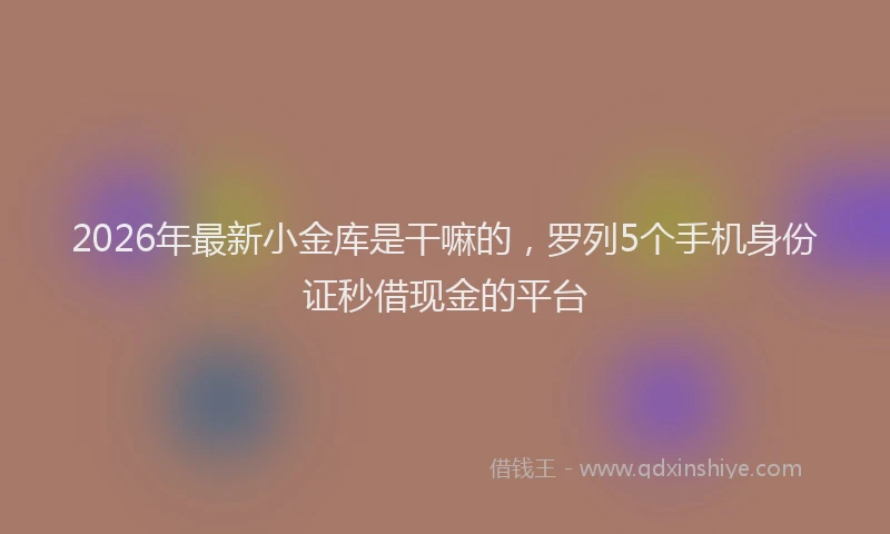 2026年最新小金库是干嘛的，罗列5个手机身份证秒借现金的平台