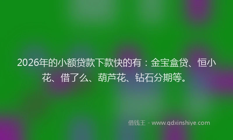 2026年的小额贷款下款快的有：金宝盒贷、恒小花、借了么、葫芦花、钻石分期等。