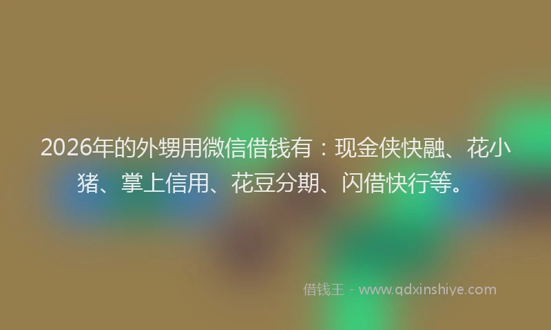 2026年的外甥用微信借钱有：现金侠快融、花小猪、掌上信用、花豆分期、闪借快行等。