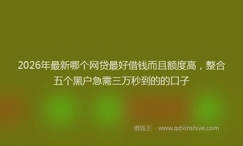 2026年最新哪个网贷最好借钱而且额度高，整合五个黑户急需三万秒到的的口子