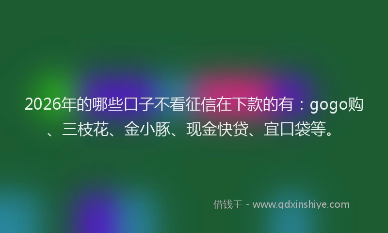 2026年的哪些口子不看征信在下款的有:gogo购、三枝花、金小豚、现金快贷、宜口袋等。