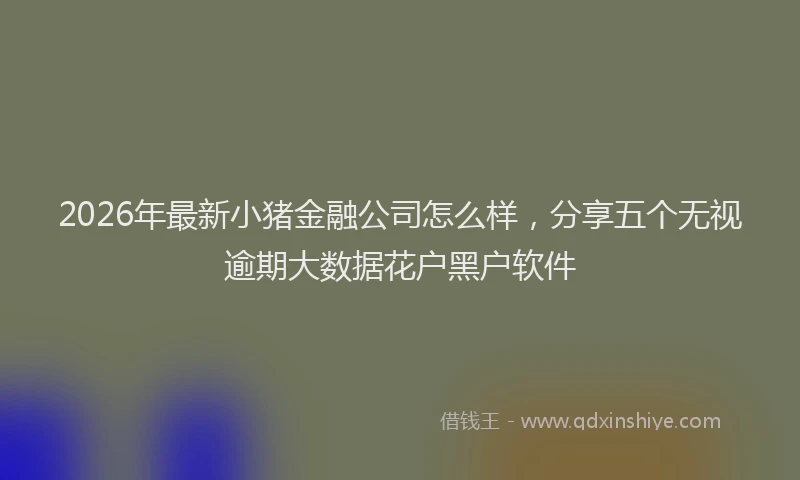 2026年最新小猪金融公司怎么样，分享五个无视逾期大数据花户黑户软件