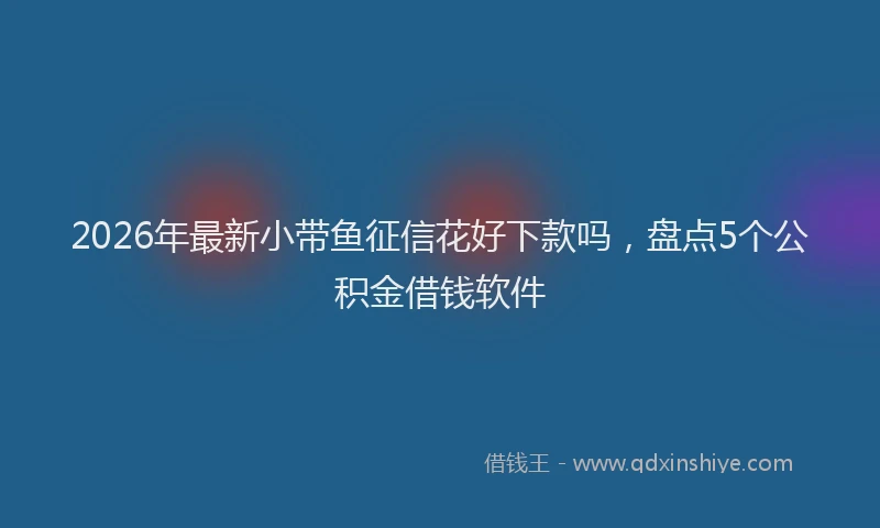 2026年最新小带鱼征信花好下款吗，盘点5个公积金借钱软件