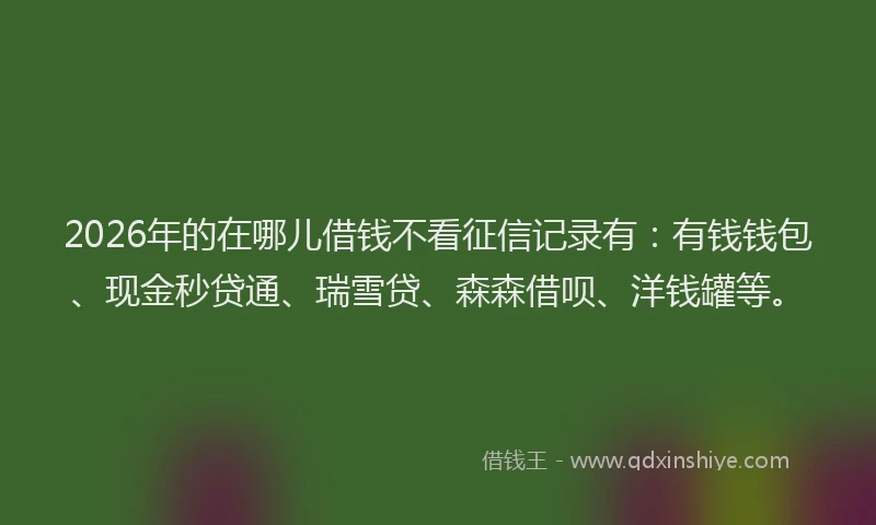 2026年的在哪儿借钱不看征信记录有:有钱钱包、现金秒贷通、瑞雪贷、森森借呗、洋钱罐等。