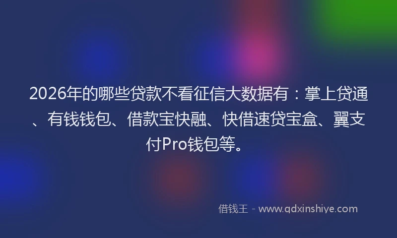 2026年的哪些贷款不看征信大数据有：掌上贷通、有钱钱包、借款宝快融、快借速贷宝盒、翼支付Pro钱包等。
