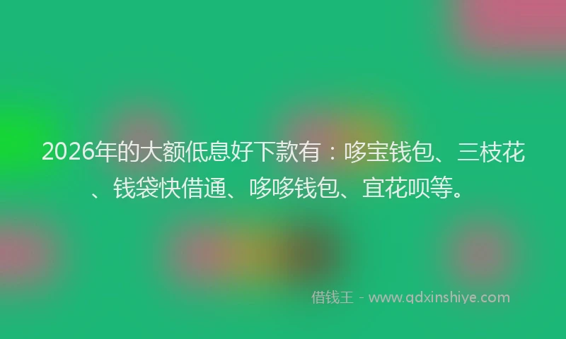 2026年的大额低息好下款有：哆宝钱包、三枝花、钱袋快借通、哆哆钱包、宜花呗等。