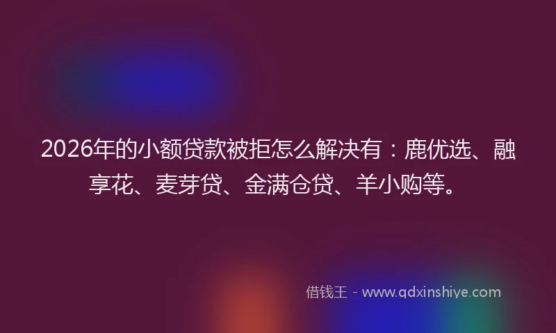 2026年的小额贷款被拒怎么解决有：鹿优选、融享花、麦芽贷、金满仓贷、羊小购等。