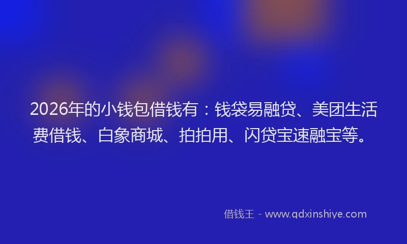 2026年的小钱包借钱有：钱袋易融贷、美团生活费借钱、白象商城、拍拍用、闪贷宝速融宝等。