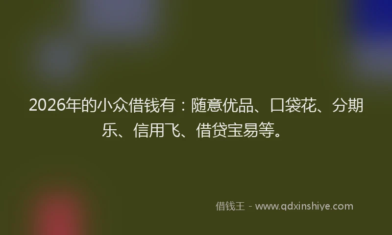 2026年的小众借钱有：随意优品、口袋花、分期乐、信用飞、借贷宝易等。