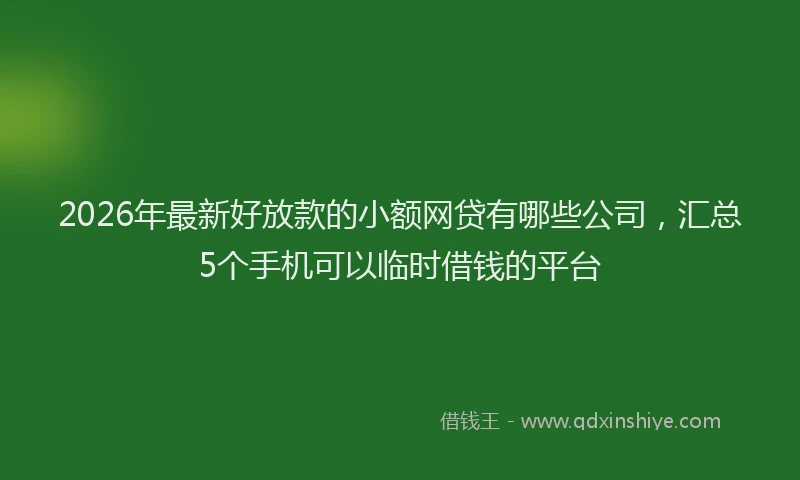 2026年最新好放款的小额网贷有哪些公司，汇总5个手机可以临时借钱的平台