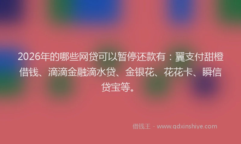 2026年的哪些网贷可以暂停还款有：翼支付甜橙借钱、滴滴金融滴水贷、金银花、花花卡、瞬信贷宝等。