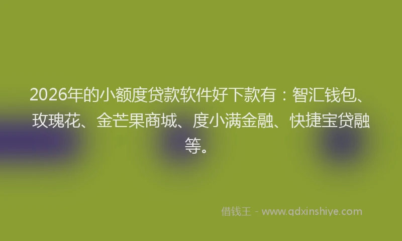 2026年的小额度贷款软件好下款有：智汇钱包、玫瑰花、金芒果商城、度小满金融、快捷宝贷融等。