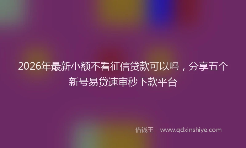 2026年最新小额不看征信贷款可以吗，分享五个新号易贷速审秒下款平台
