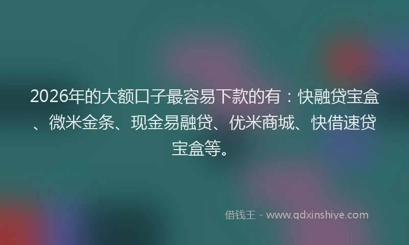 2026年的大额口子最容易下款的有：快融贷宝盒、微米金条、现金易融贷、优米商城、快借速贷宝盒等。