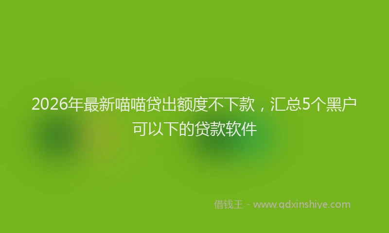 2026年最新喵喵贷出额度不下款，汇总5个黑户可以下的贷款软件