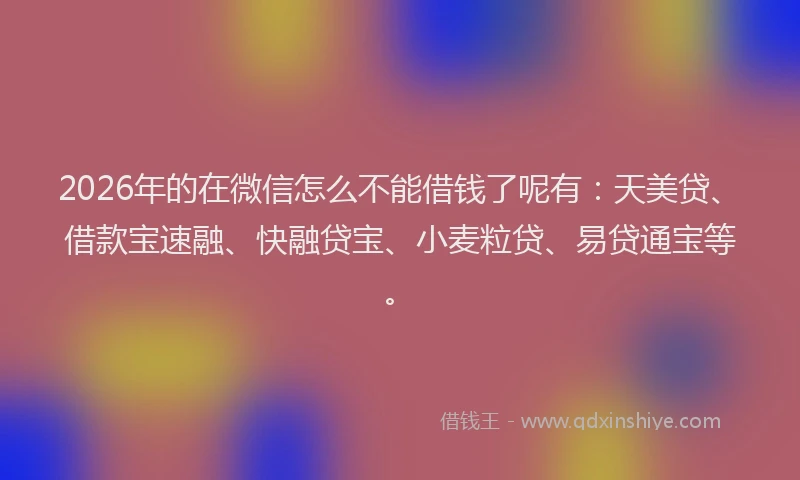 2026年的在微信怎么不能借钱了呢有:天美贷、借款宝速融、快融贷宝、小麦粒贷、易贷通宝等。