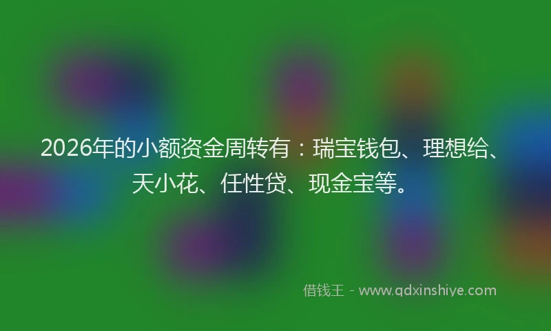 2026年的小额资金周转有：瑞宝钱包、理想给、天小花、任性贷、现金宝等。